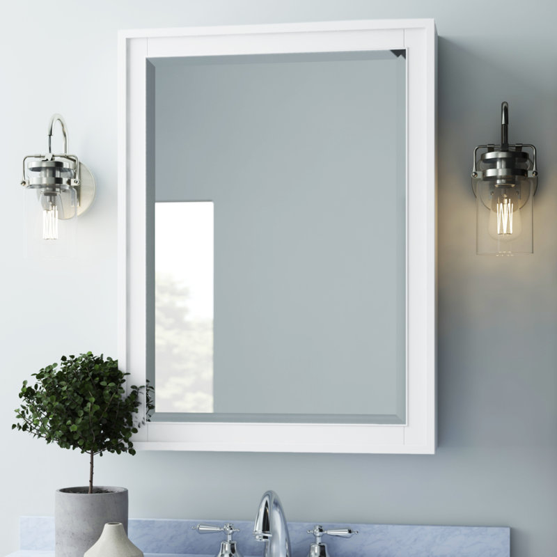 Lark Manor Charley Surface Mount Framed 1 Door Medicine with 3